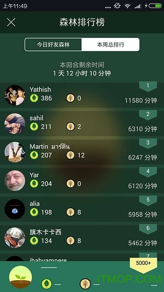 Forest app(Forest专注森林)