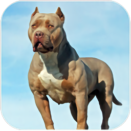 比特犬模拟器最新版(pitbull dog simulator )