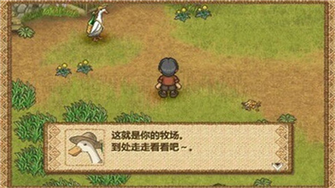 欢迎来到绵羊村