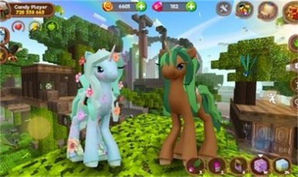 Pony Craft图2