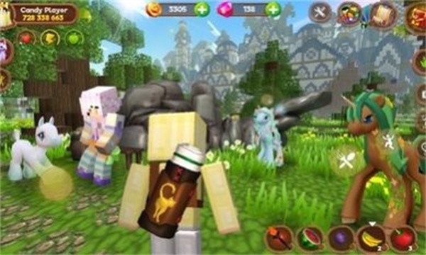 Pony Craft图1