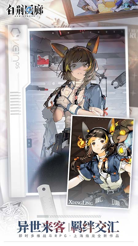 白荆回廊2025 白荆回廊2025