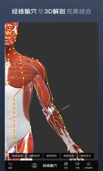 维萨里3d解剖全集终身免费版