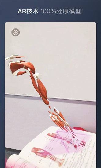 维萨里3d解剖全集终身免费版