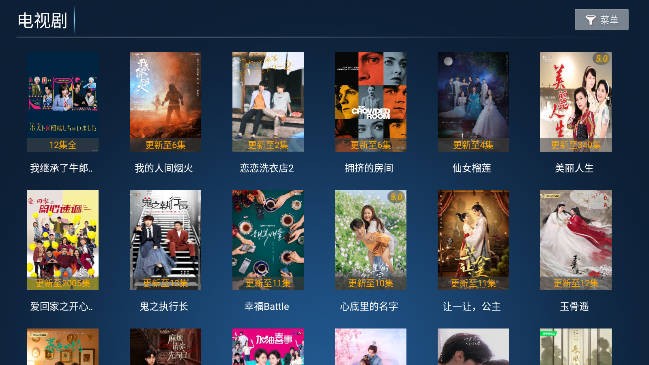 华人视界