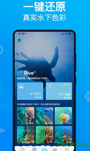 Dive+