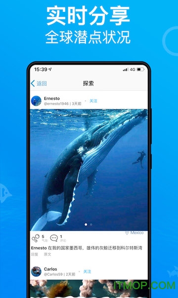 Dive+