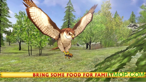 Wild Eagle Sim图1