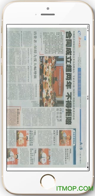 保险典