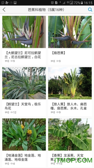 植物大全