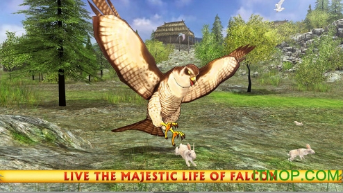 Wild Eagle Sim图3