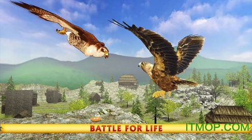 Wild Eagle Sim图2