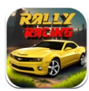 拉力赛车纳斯卡游戏