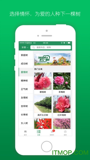 遇树林丰