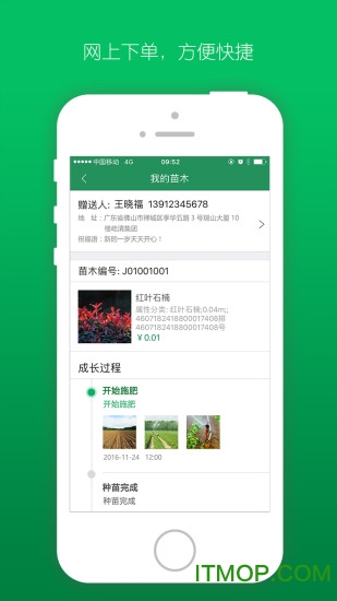 遇树林丰