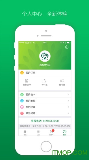遇树林丰