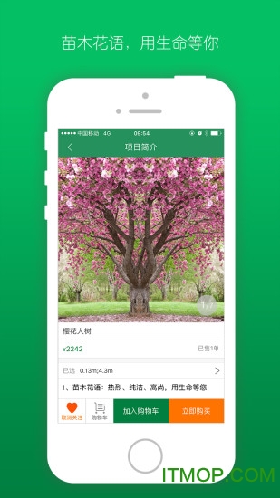 遇树林丰