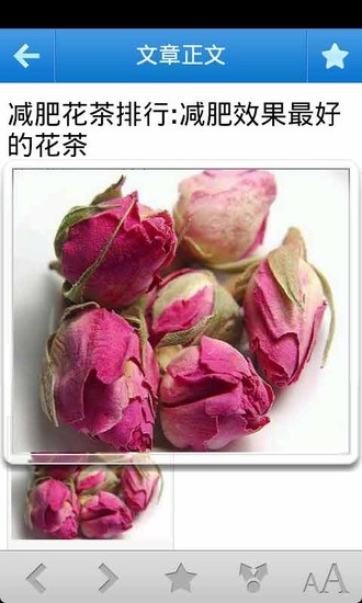 养花百科