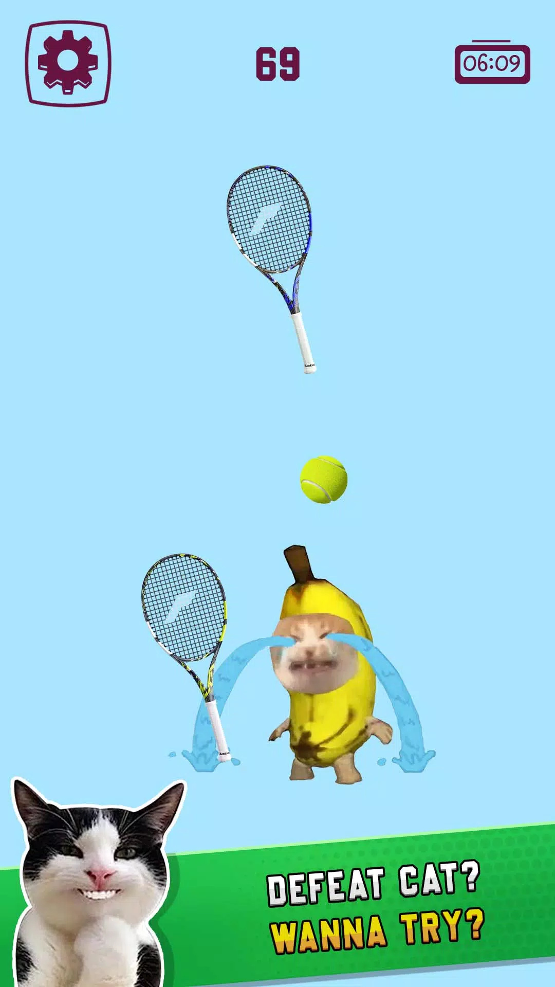 猫咪网球大赛