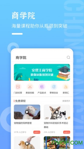 宠帮主