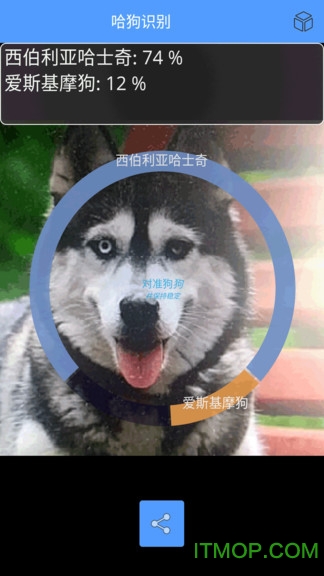 哈狗识别