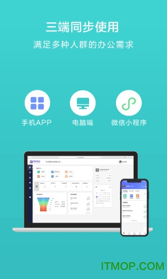 蜂鸟汇报