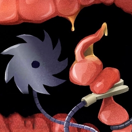 内科医生模拟器