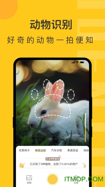 拍照识物