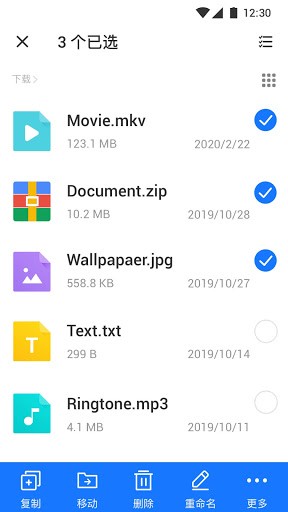 File Manager +