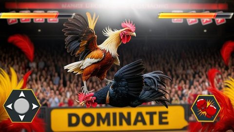愤怒的小鸡模拟器(Angry Chicken Fight Simulator)