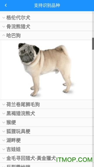 哈狗识别