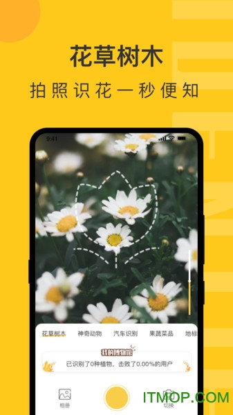 拍照识物