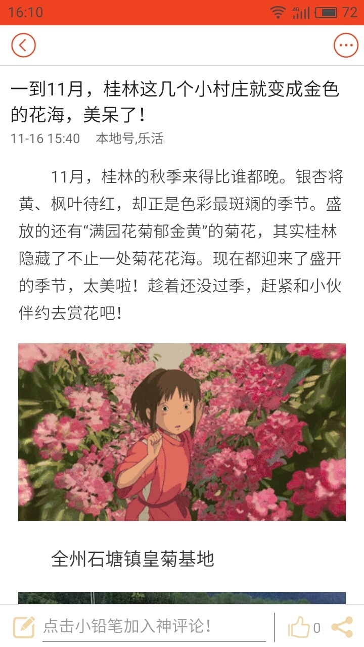 掌桂
