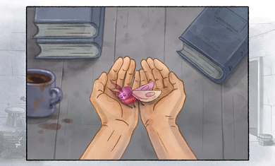 露西德(Lucid Lenses)