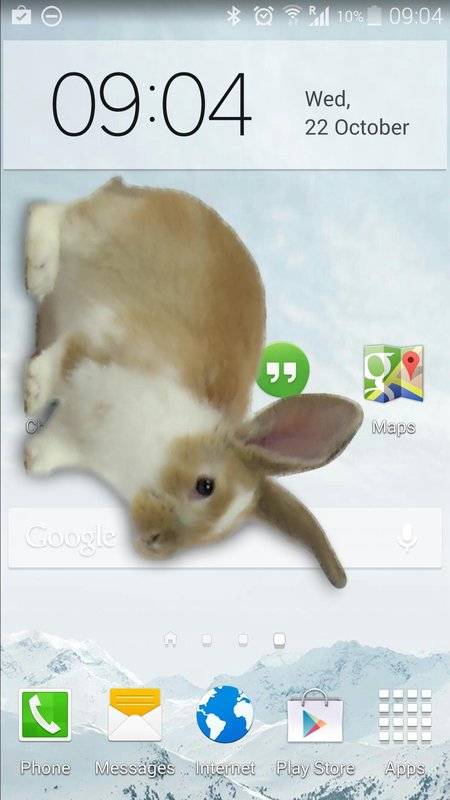 BunnyInPhoneCutejoke(手机屏幕养兔子软件下载)
