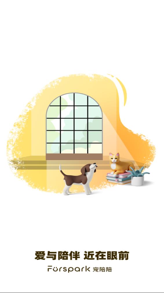 宠陪陪