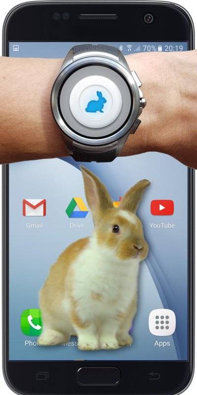 BunnyInPhoneCutejoke(手机屏幕养兔子软件下载)
