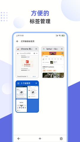 狐猴浏览器插件app