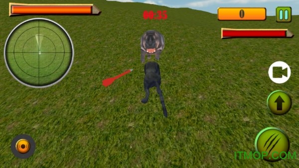 野生黑豹模拟器(Wild Black Panther Simulator)