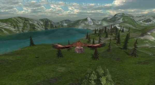 Owl Hunting Journey(猫头鹰狩猎之旅)