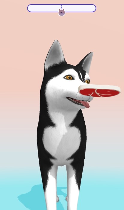 Animal ASMR(狗狗ASMR游戏)