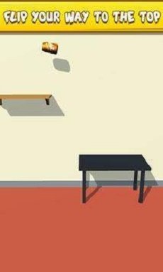 瓶子翻转大师红包版(Bottle Flip)