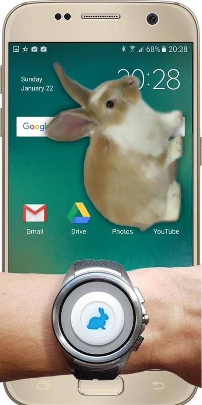 BunnyInPhoneCutejoke(手机屏幕养兔子软件下载)