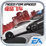 极品飞车:无限狂飙