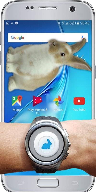 Bunny In Phone Cute joke(手机屏幕养兔子软件下载)