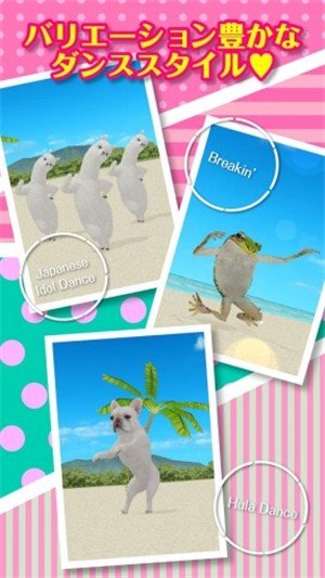 aDanza(一个跳舞的羊驼)