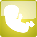 现实人生模拟器安装器