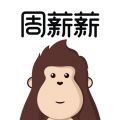 周 薪 薪app