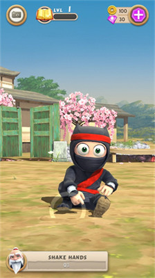 笨拙的忍者中文版下载