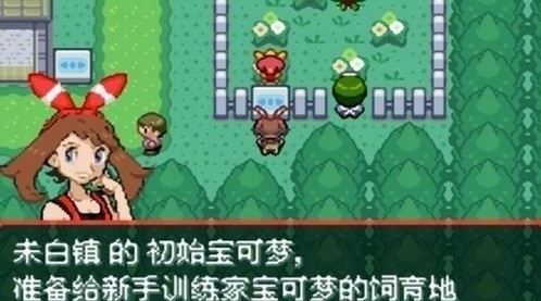 口袋妖怪-究极绿宝石IV